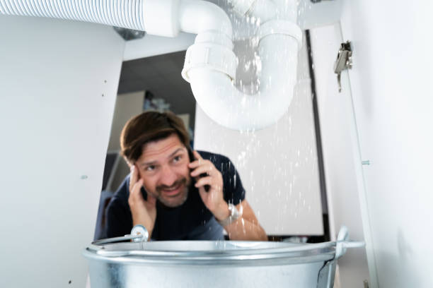 Best Local Plumber Services  in Polk City, IA
