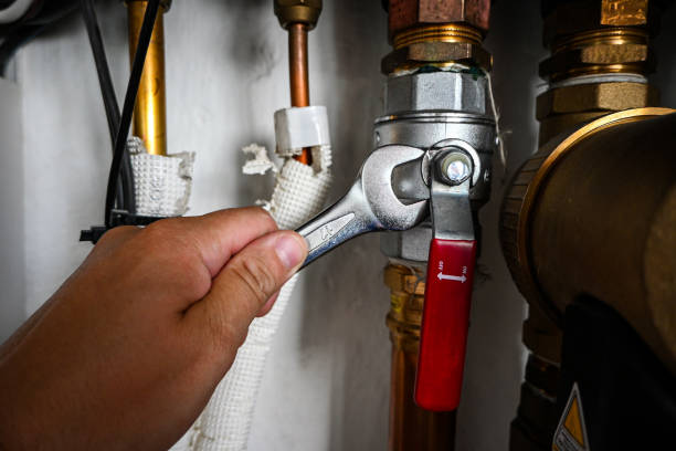 Best Septic Systems  in Polk City, IA